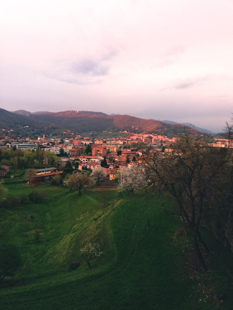 widok