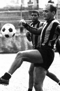 Luis Vinicius De Menezes Vinicio 