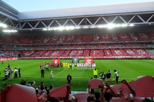 Grand Stade Lille Métropole